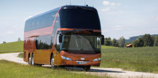 Szerteágazó törzsfejlődés