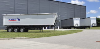 Elefántok anatómiája