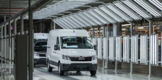 Itt az első kisoroszlán