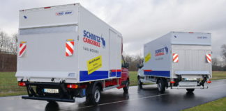 A legkisebb elefántok