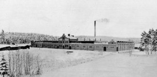 125 éve szárnyal a griff