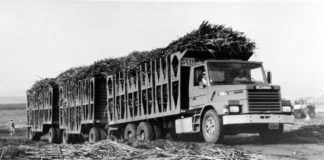 Száz év sárban, hepehupán