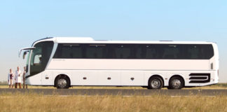 Mit bír ki egy oroszlán?