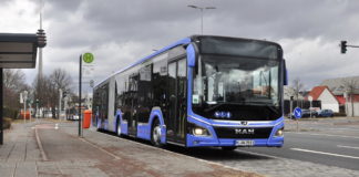 Új fiú a városban