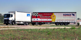 Biztos kezűek előnyben