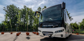 Minden busz mellé egy fa