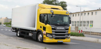 Remekül beilleszkedett