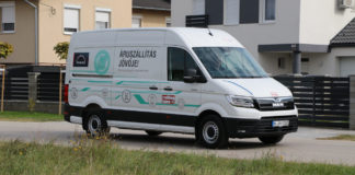 Jól nevelt kisoroszlán