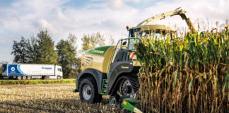 Tovább erősödött a Krone