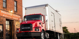 A legújabb kutyakölykök