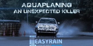 Kutyaharapást szőrével