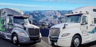 Csőrüknél fogva vezetik magukat