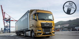 Díjnyertes oroszlán