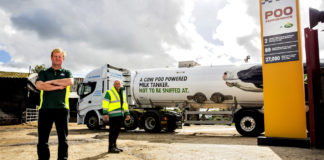 Marha jó a környezetnek