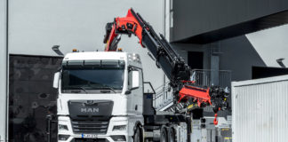 Darubarát oroszlánok