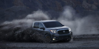 Önhordó csodabogár