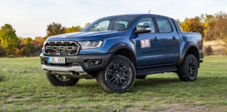 Sivatagi gyorsnaszád