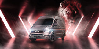 Felborzolt sörénnyel