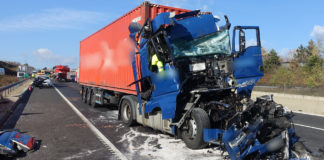 Önként és dalolva