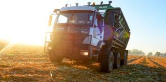 Csillag a nádas felett