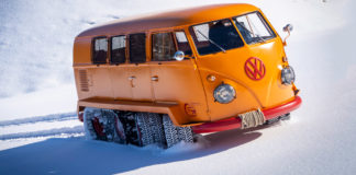 Hernyótalpas hegylakó