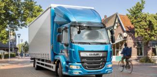 Tulipános apróság