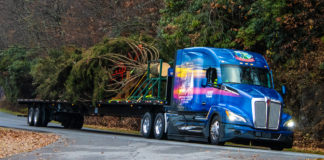 Ó, szép fenyő, ó, szép fenyő…