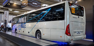 Visszasírjuk a szafarit?