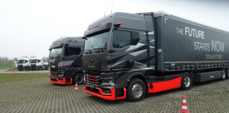 Látványra vad oroszlán