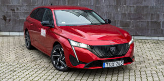 Koraszülött oroszlán