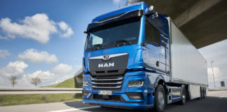 Felfrissült oroszlánok