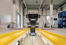 Fészekrakó griffmadár