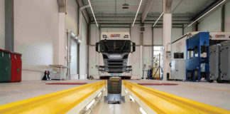 Fészekrakó griffmadár