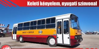 Repülőtéri papagáj